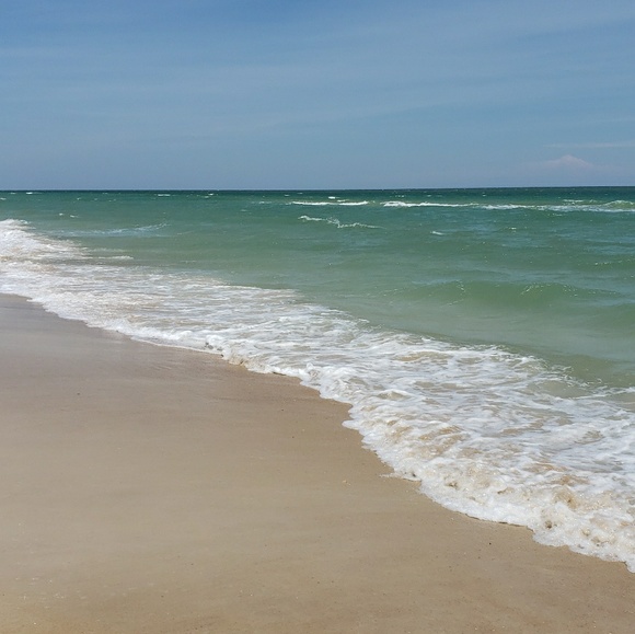 Meet your Posher, Elysse - Picture 1 of 1